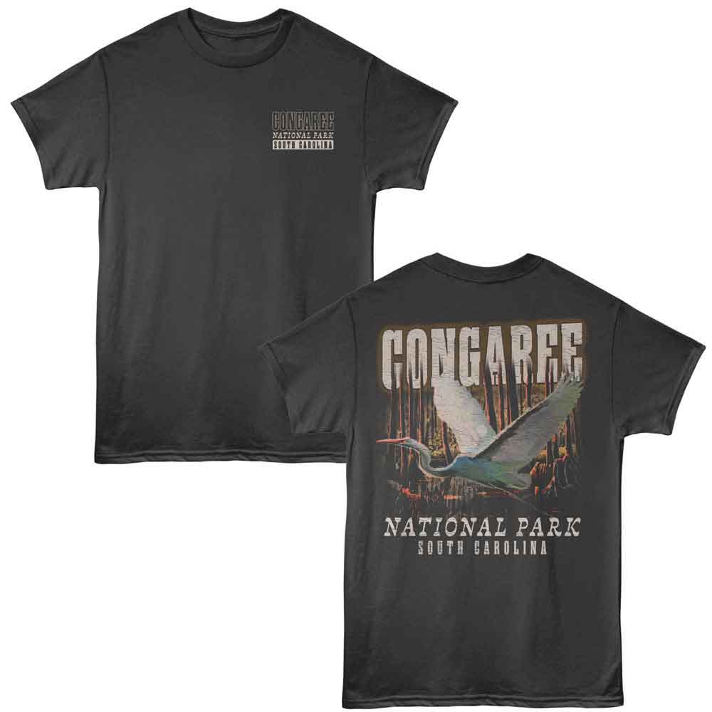 Lantern Press T-Shirt - Congaree Swamp Scene