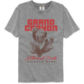 Lantern Press Comfort Colors T-Shirt - Grand Canyon Prickly Pear