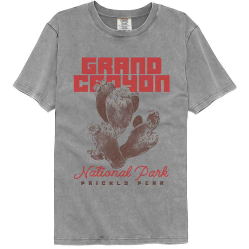 Lantern Press Comfort Colors T-Shirt - Grand Canyon Prickly Pear