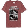 Lantern Press Comfort Colors T-Shirt - Bear Cubs Playing