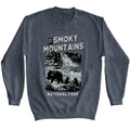 Lantern Press Long Sleeve Sweatshirt - Bear Cubs Playing