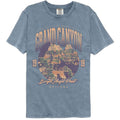 Lantern Press Comfort Colors T-Shirt - Bright Angel Point