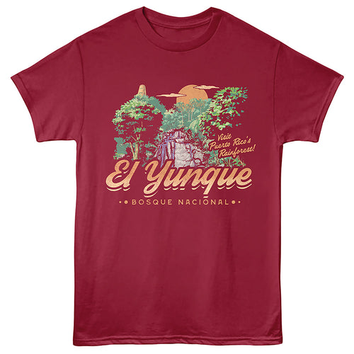 Lantern Press T-Shirt - Visit Rainforest