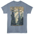 Lantern Press T-Shirt - Clovis Redwoods
