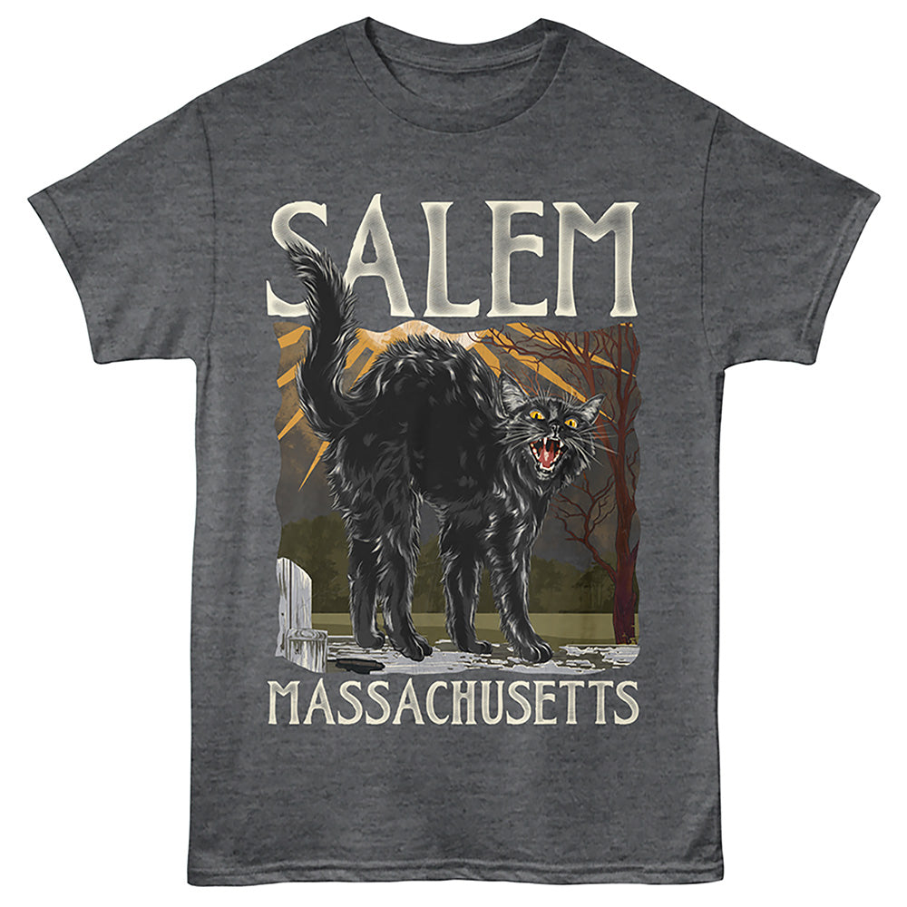 Lantern Press T-Shirt - Salem Ma Cat