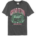 Lantern Press Npca Comfort Colors T-Shirt - Grand Teton