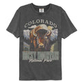 Lantern Press Npca Comfort Colors T-Shirt - Colorado Bison