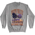 Lantern Press Npca Long Sleeve Sweatshirt - Death Valley Prp Sun