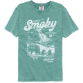 Lantern Press Npca Comfort Colors T-Shirt - Bear Cubs Waterfall