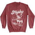 Lantern Press Npca Long Sleeve Sweatshirt - Bear Cubs Waterfall