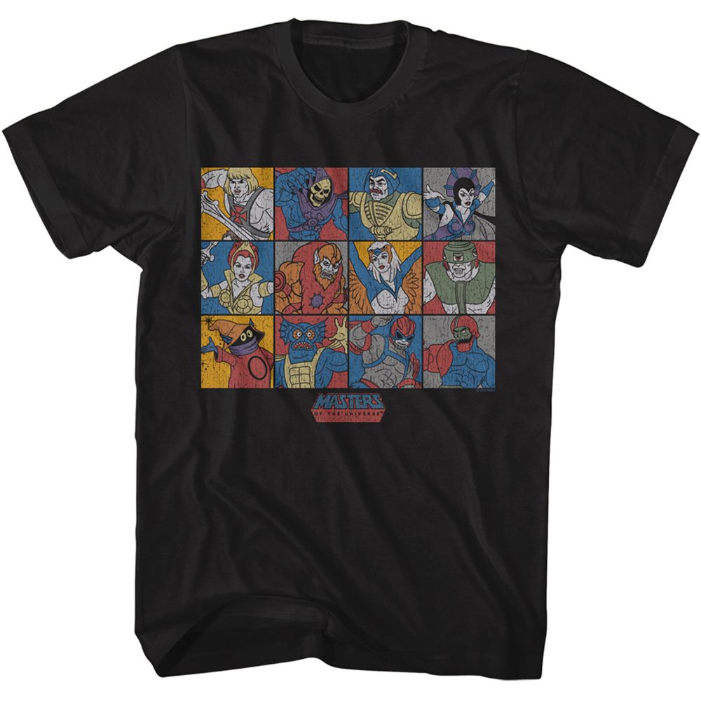 Character Blocks Masters of the Universe t-shirt in black