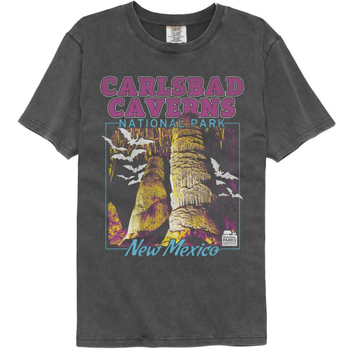 National Parks Comfort Colors T-Shirt - Carlsbad Caverns