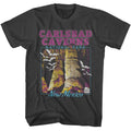 Smoke Gray National Parks t-shirt featuring a Carlsbad Caverns design