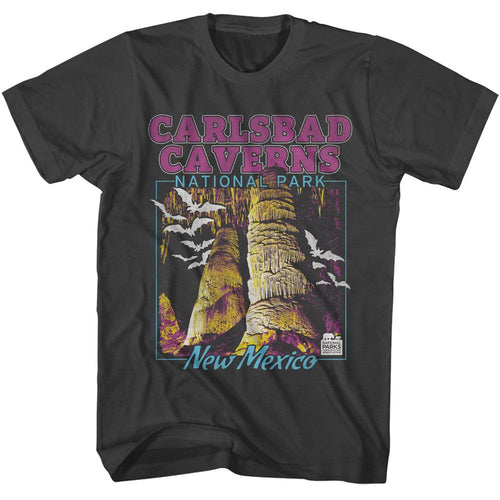 Smoke Gray National Parks t-shirt featuring a Carlsbad Caverns design