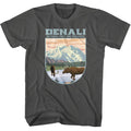 Smoke Gray National Parks t-shirt featuring a Denali landscape shape design