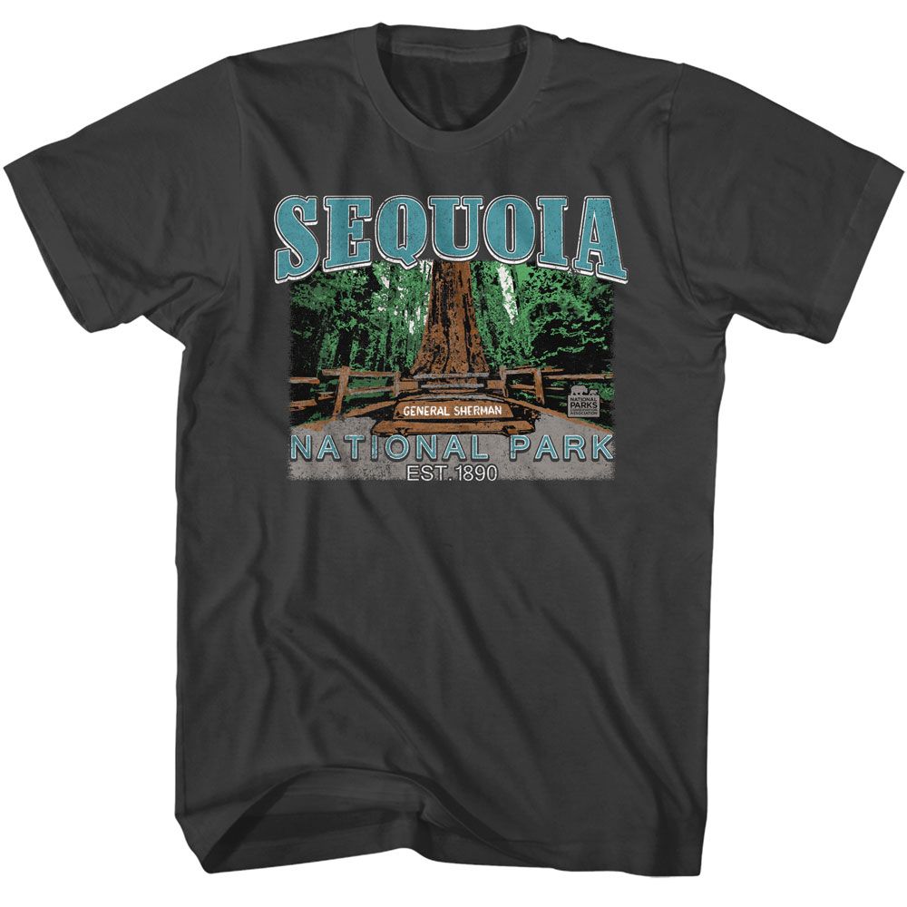 Smoke Gray National Parks t-shirt featuring a Sequoia design