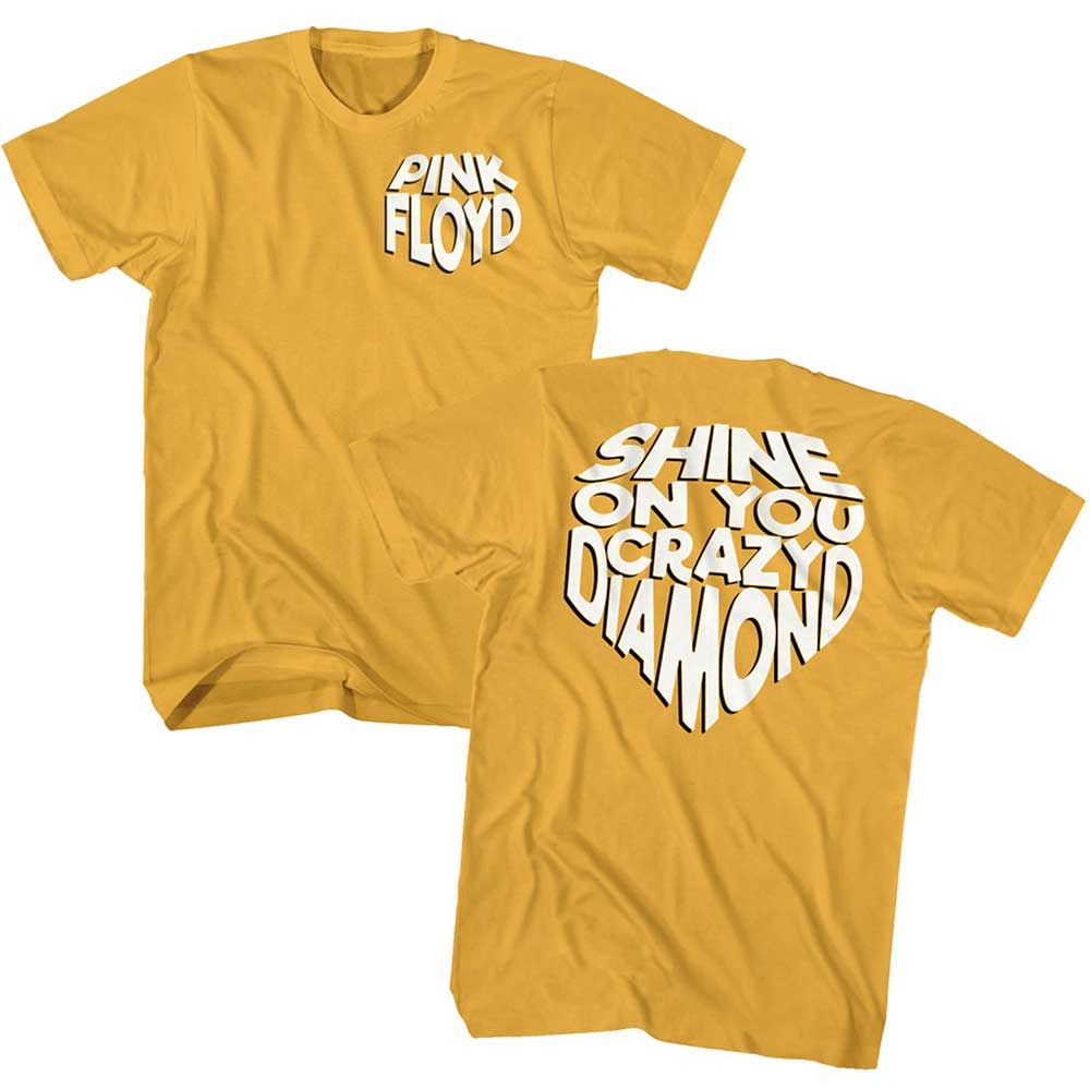 Ginger Pink Floyd t-shirt featuring a Shine On design