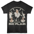 Smoke Gray Ric Flair t-shirt featuring a Ring and Lights design