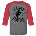 Rocky 3/4 Raglan - Stallion