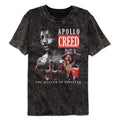 Rocky Mineral Wash T-Shirt - Rocky Master of Disaster - Black