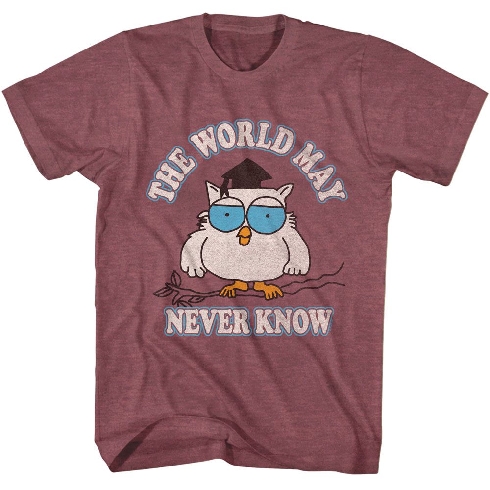 Vintage Maroon Heather Tootsie Pop t-shirt featuring a The World May Never Know design