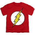 DC Comics Flash Distressed Youth/Toddler T-Shirt