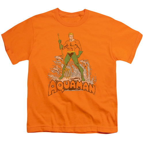Aquaman Aquaman Distressed Youth/Toddler T-Shirt