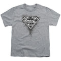 Superman Many Super Skulls Youth/Toddler T-Shirt