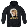 Labyrinth Jareth Youth Hoodie