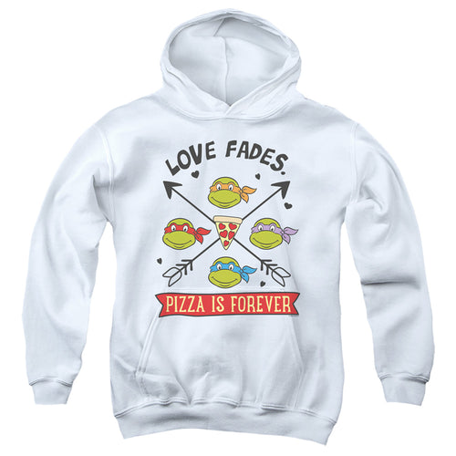 Teenage Mutant Ninja Turtles Pizza Is Forever Youth Hoodie