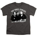 The Three Stooges Hello Again Youth/Toddler T-Shirt