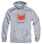 Cute Cancer Gray