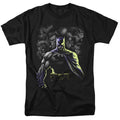 Batman Villains Unleashed T-Shirt