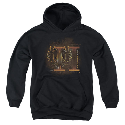 Harry Potter Celestial Nomad Hufflepuff Youth Hoodie