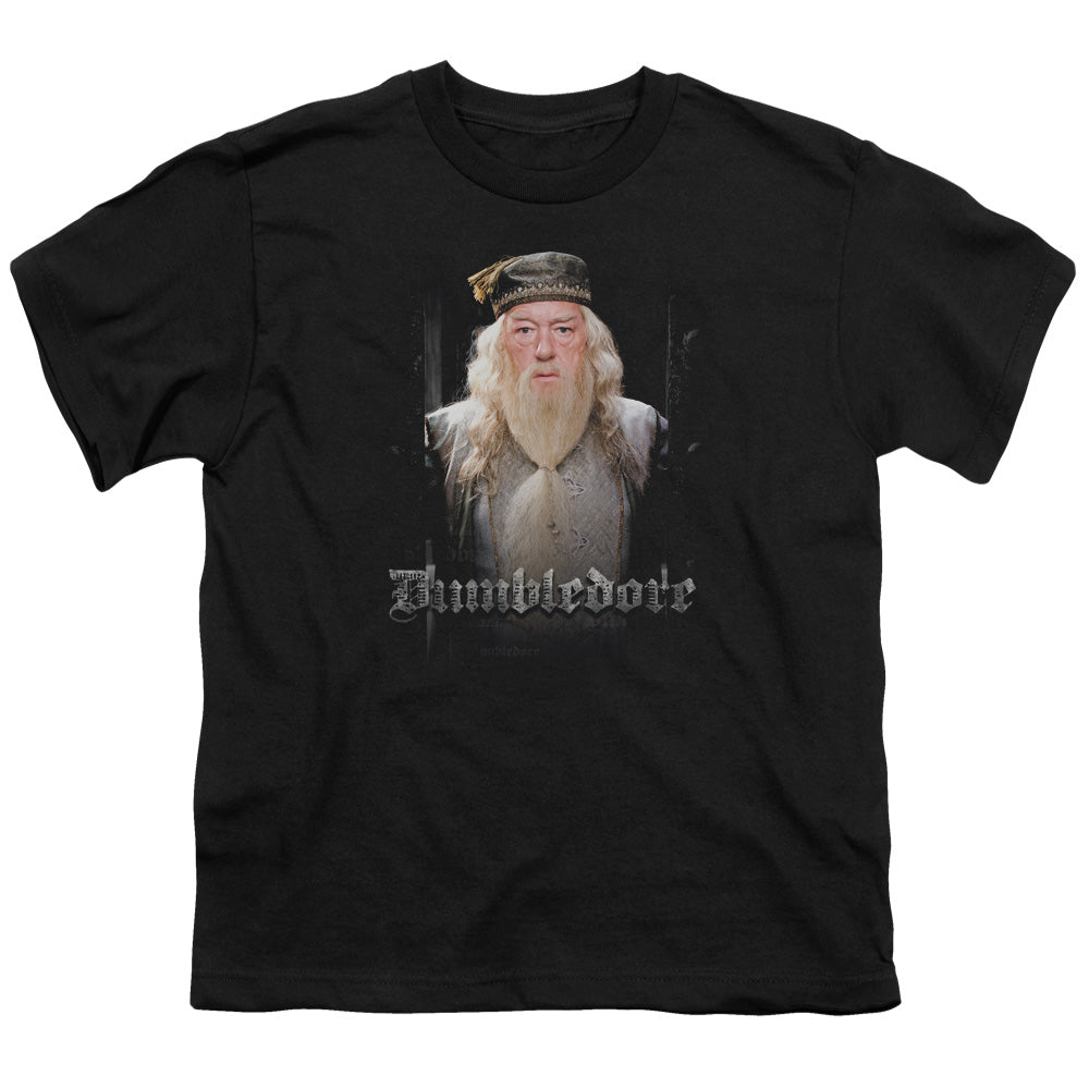 Harry Potter Dumble Doors Youth/Toddler T-Shirt