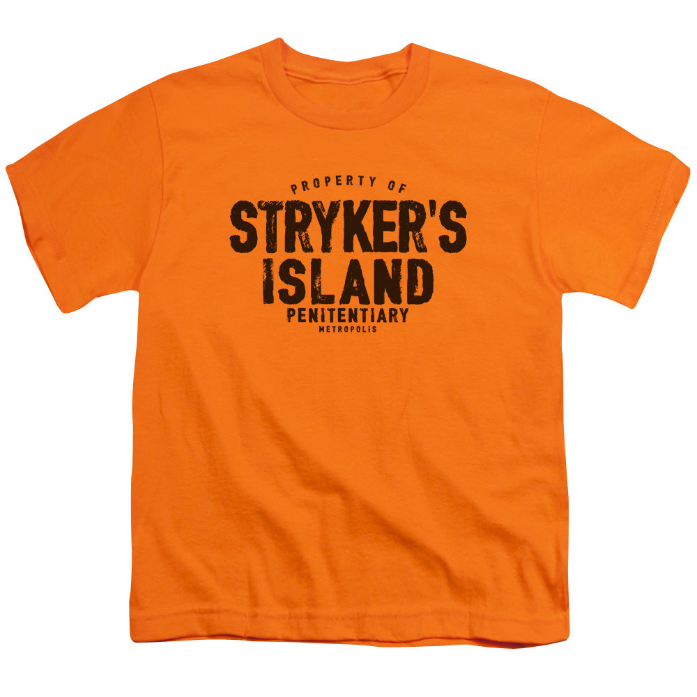 Superman Strykers Island Youth/Toddler T-Shirt