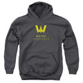 DC Comics Wayne Aerospace Youth Hoodie
