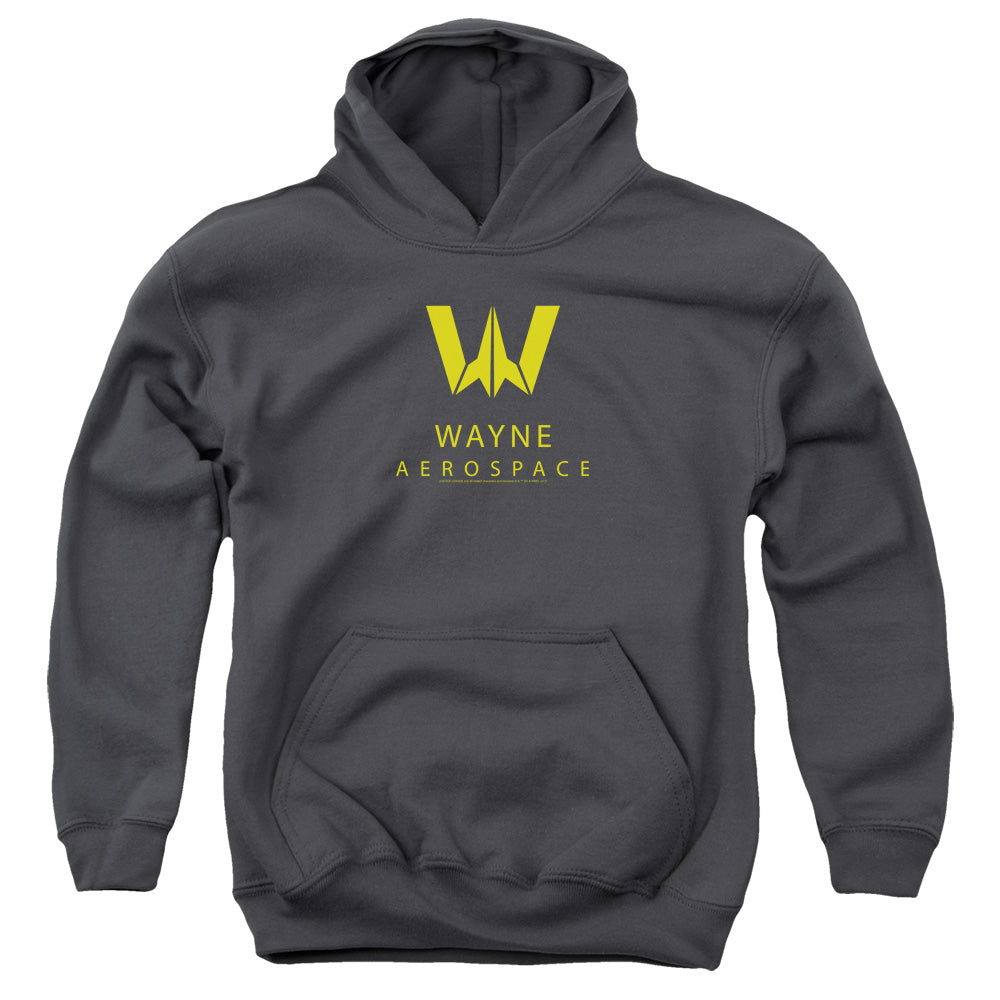 DC Comics Wayne Aerospace Youth Hoodie