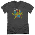 DC Comics Power Bolt V-Neck T-Shirt