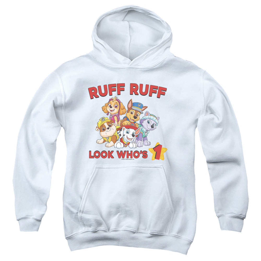 Paw Patrol Ruff Ruff Birthday Youth Hoodie