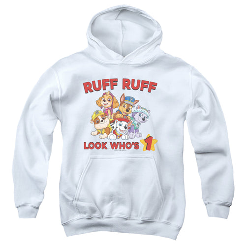 Paw Patrol Ruff Ruff Birthday Youth Hoodie