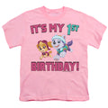 Paw Patrol Girl Group Happy Birthday Youth/Toddler T-Shirt