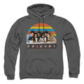 Friends Soda Fountain Pullover Hoodie