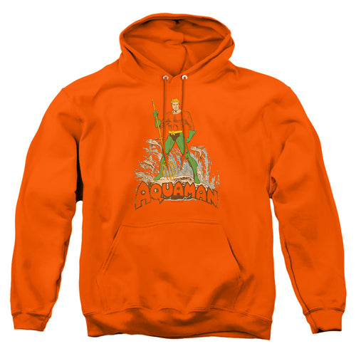 Aquaman Aquaman Distressed Pullover Hoodie
