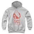 Looney Tunes Come At Me Youth Hoodie