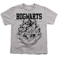 Harry Potter Hogwarts Athletic Youth/Toddler T-Shirt