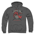 Dungeons & Dragons How I Roll D and D Pullover Hoodie