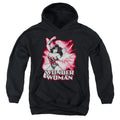 Wonder Woman Red and Gray Logo Youth Hoodie