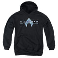 Aquaman Logo Youth Hoodie