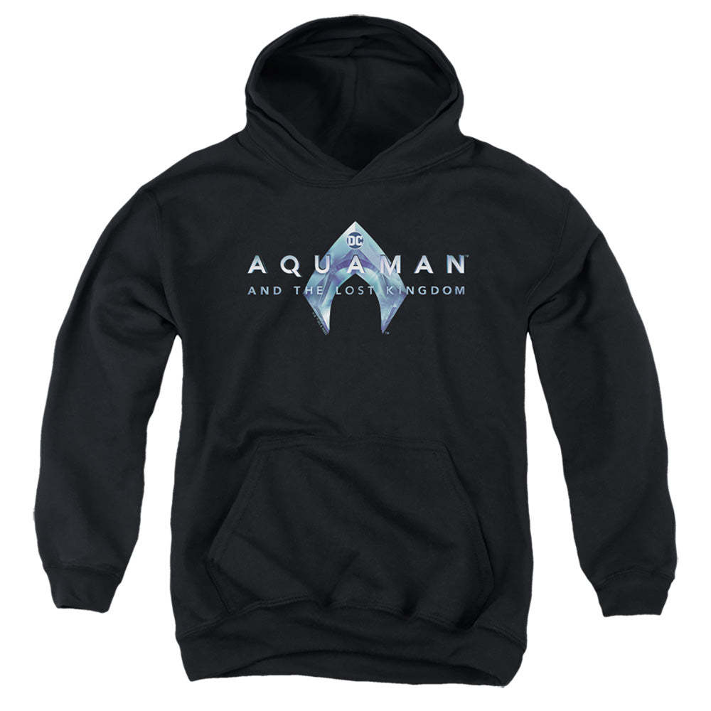 Aquaman Logo Youth Hoodie